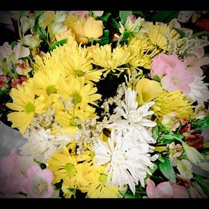 Meet your Posher, 🌼maria